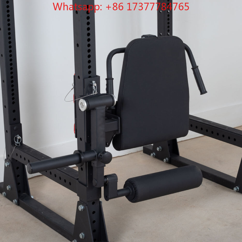 Máquina de Entrenamiento de Pi - Home Gym Quad Exercises reseña y precio