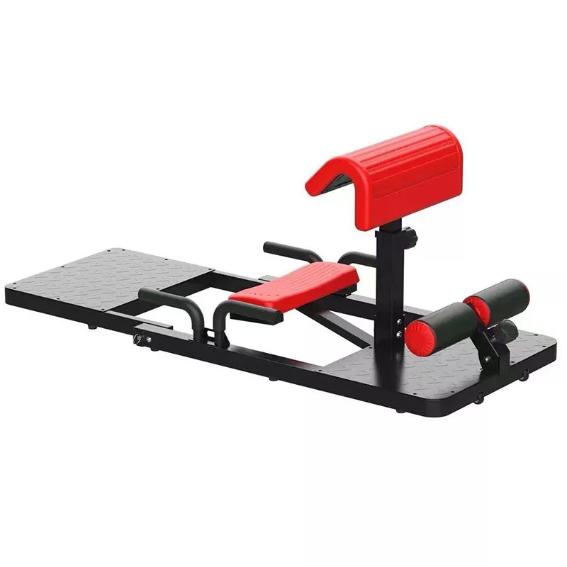 Máquina de Sentadillas Sissy 3 - Home Gym Quad Exercises reseña y precio