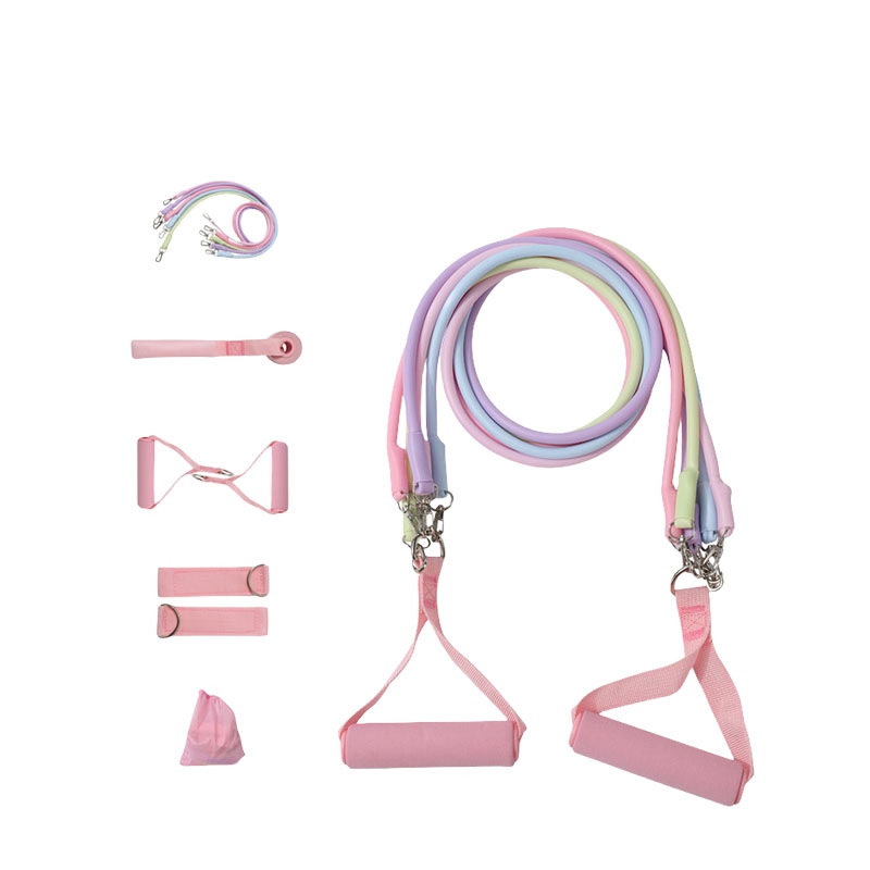 Banda de Asistencia para Domin - Home Gym Full Setup reseña y precio