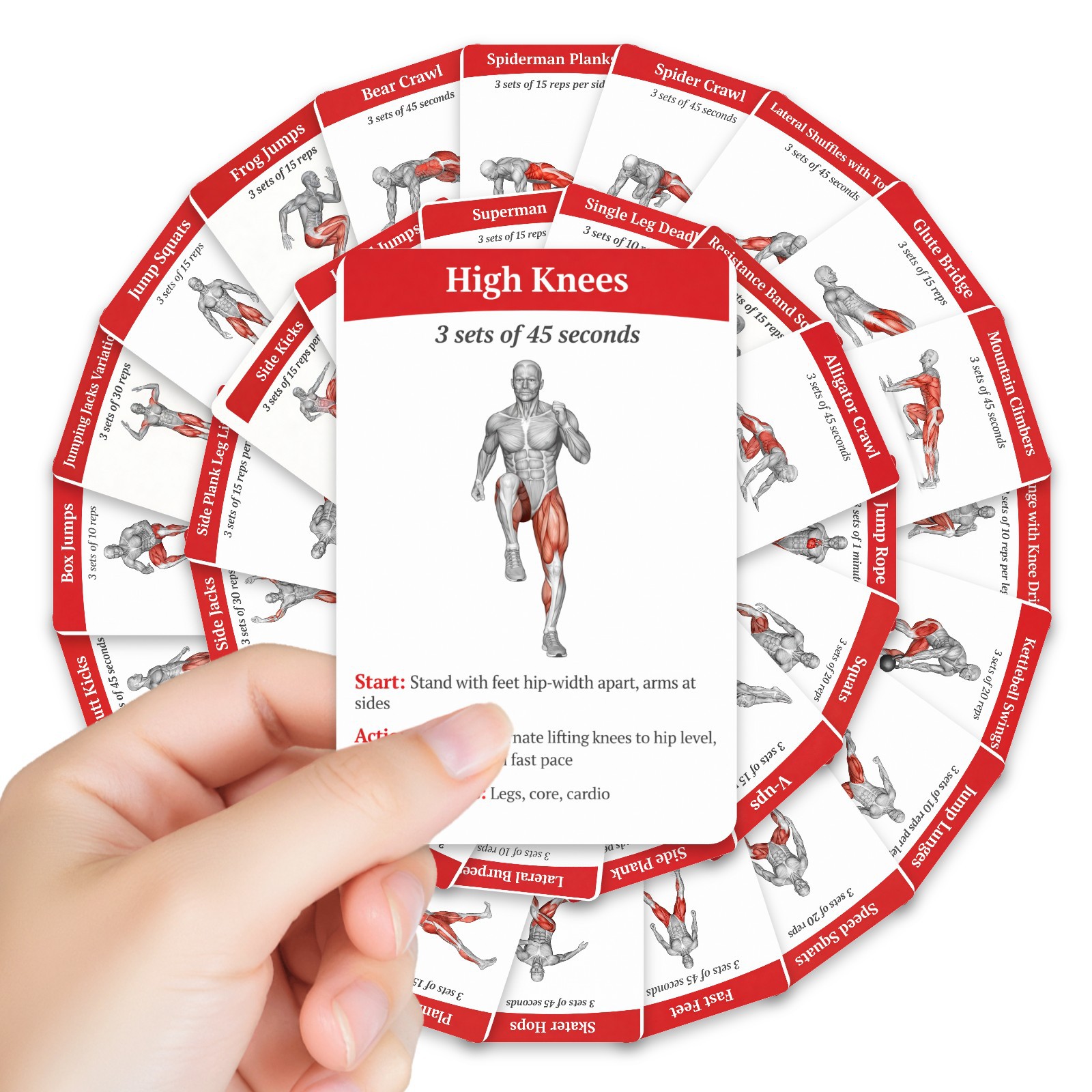 36 tarjetas de guía de entrena - Home Gym Full Setup reseña y precio